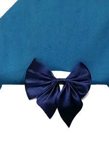 Aesthetic Bow Hair Clips (3pc)
