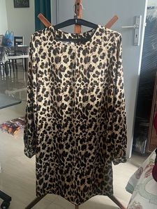Animal Print Long Sleeve Dress