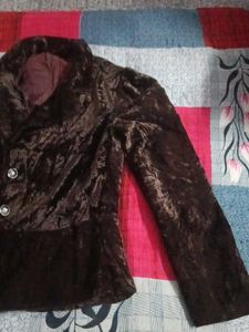 Women Fancy Chocolate Colour Coat