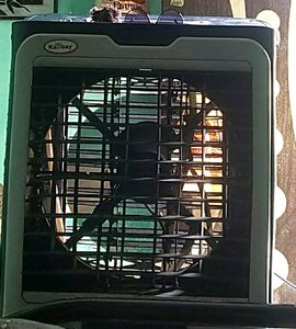 Cooler In Running Condition