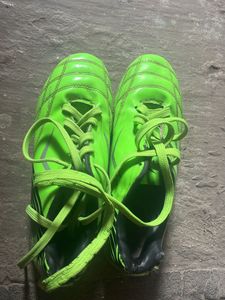 New studs