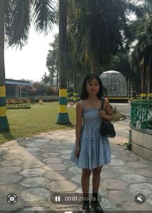 Blue Checkered Dress