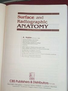 surface and radiological anatomy