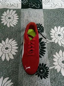 This Shoe is not my Size