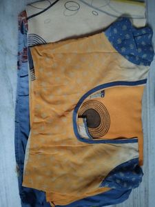 Multi Colour Saree With Blouse