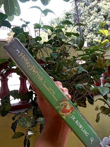 HARRY POTTER &amp; CHAMBERS OF SECRET