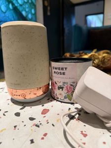 Diffuser & Wax Melter