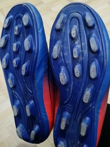 Sports Shoes