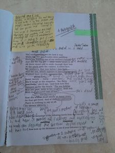 English Class 11 NCERT Combo Hornbill And Snapshot