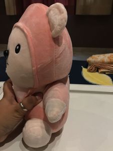 Pink Bear Plushie