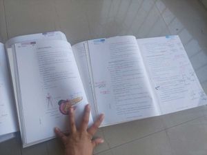 Medical Textbooks - Set of 4