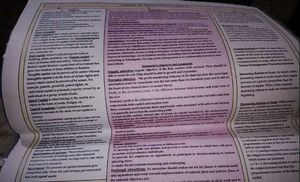 CA FOUNDATION all subjects notes with icai books a