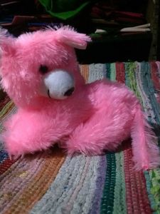 Pink Plush Toy