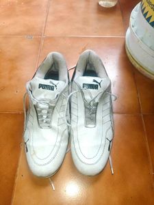 puma ferrari sf future cat shoes