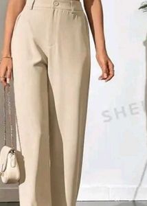 Beige Casual Trousers