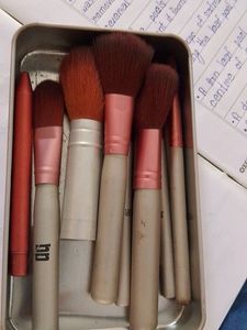 Make-up Brush New