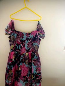 Women Fit and Flare Brown Dress