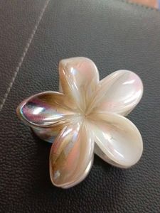 Flower Hair Clips (Set of 4)