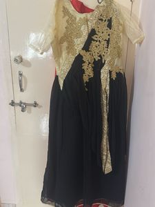 Elegant Embroidered Saree  Dress