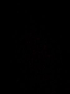 Test Cash 3