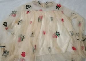 Net Top With Flare Sleeves