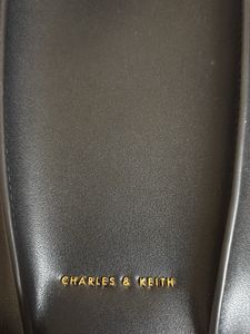 Charles &amp; Keith Bag