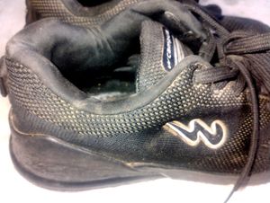Campus Sneakers Shoes For Men