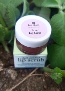 JUST HERBS LIP SCRUB