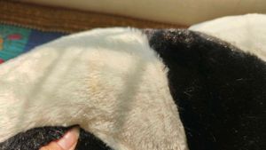 Cute Panda Toy