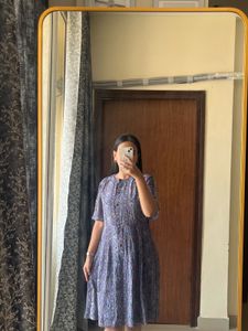 Paisley Print Button-Down Dress