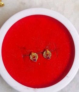 Beautiful New Ring Type Earrings Small