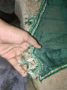 Green Embellished Saree