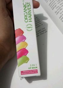 ORGANIC HARVEST 5 In 1 Lip Balm || Hibiscus,Lily, Coffee , Strawberry &amp; Green Tea