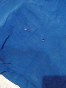 Blue Polo T-Shirt