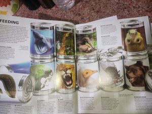 The Visual Encyclopedia Of Everything (Books For K