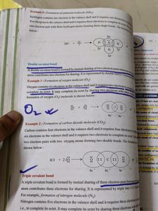 Dinesh Class 10 Chemistry