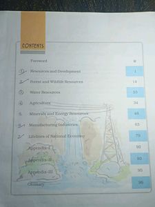 Text Book In Geography For Class 10th By NCERT