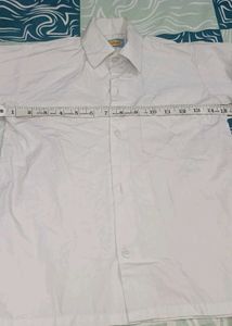 White Button-Down Shirt