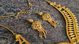 Covering Necklace And Earrings