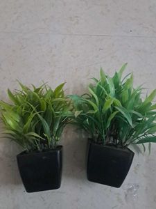 Artificial Green