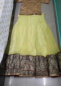 Multi Colour Net Big Border Girl Crop Top
