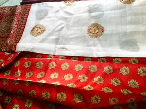 White Saree 2