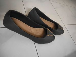 Gray Wedge Bellies