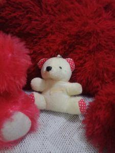 Teddy Bear Set