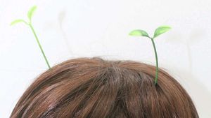 A Sprout Hair Clip