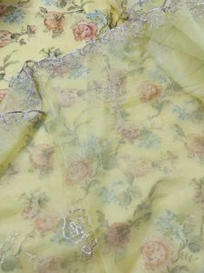 Floral Embroidered Organza Suit With Organz