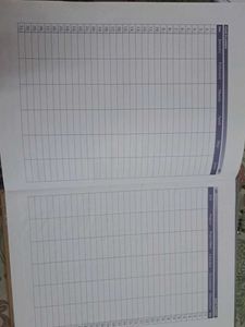Diary 2025