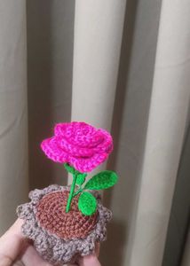 Crochet Rose in Pot