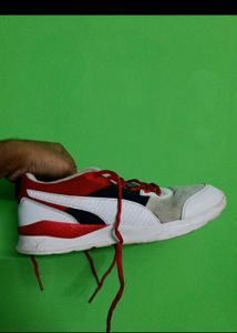 Puma Seattle Casuals For Men