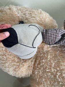 Giant Teddy